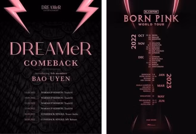 nhom nhac nu viet nam bi to dao nhai san pham cua blackpink hinh 2