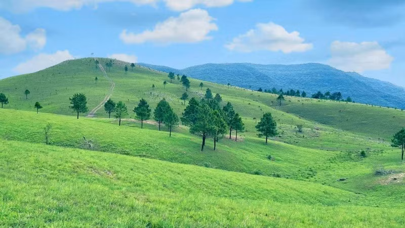trai nghiem doi co chay o tinh quang ninh hinh 2
