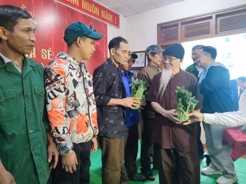 kon tum tang 10000 cay sam ngoc linh tri gia 3 ty dong cho ho ngheo co sam bi chet hinh 2