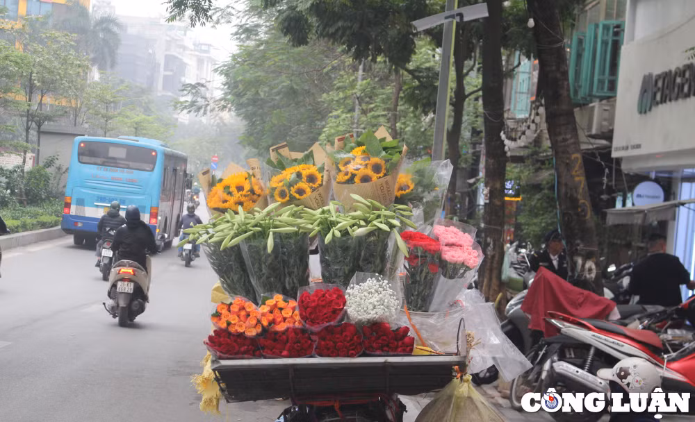 hoa loa ken keo thang tu ve tren pho ha noi hinh 4