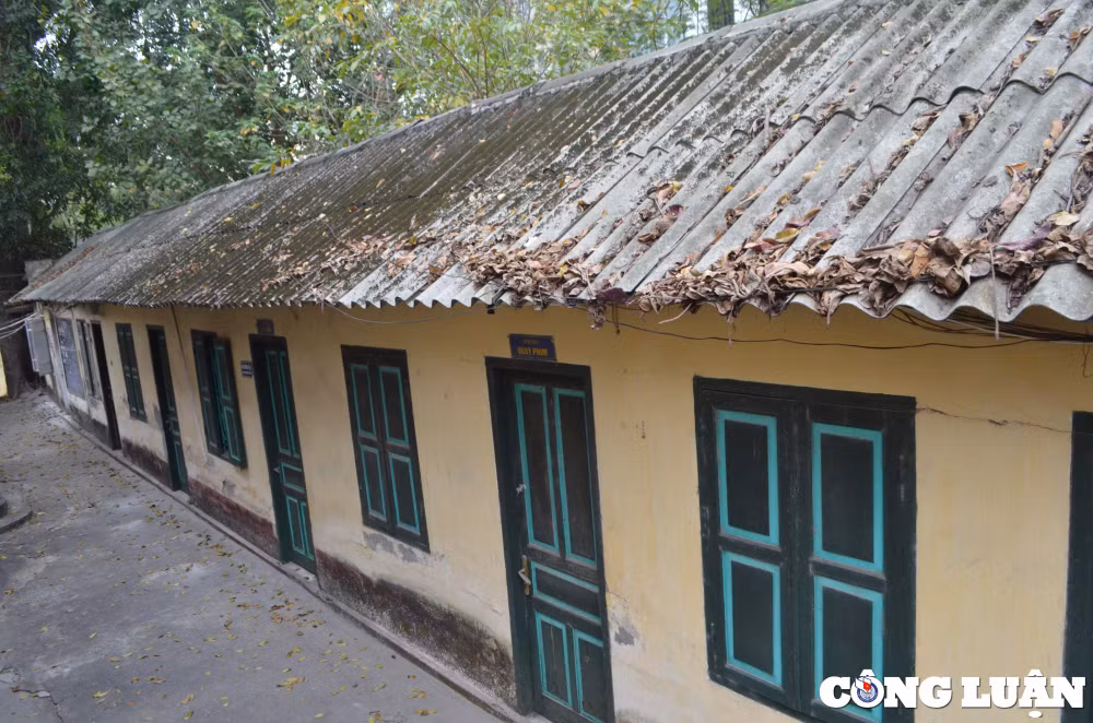 nha dau tu vivaso noi gi ve viec hon 300 cuon phim nhua bi hu hai hinh 6