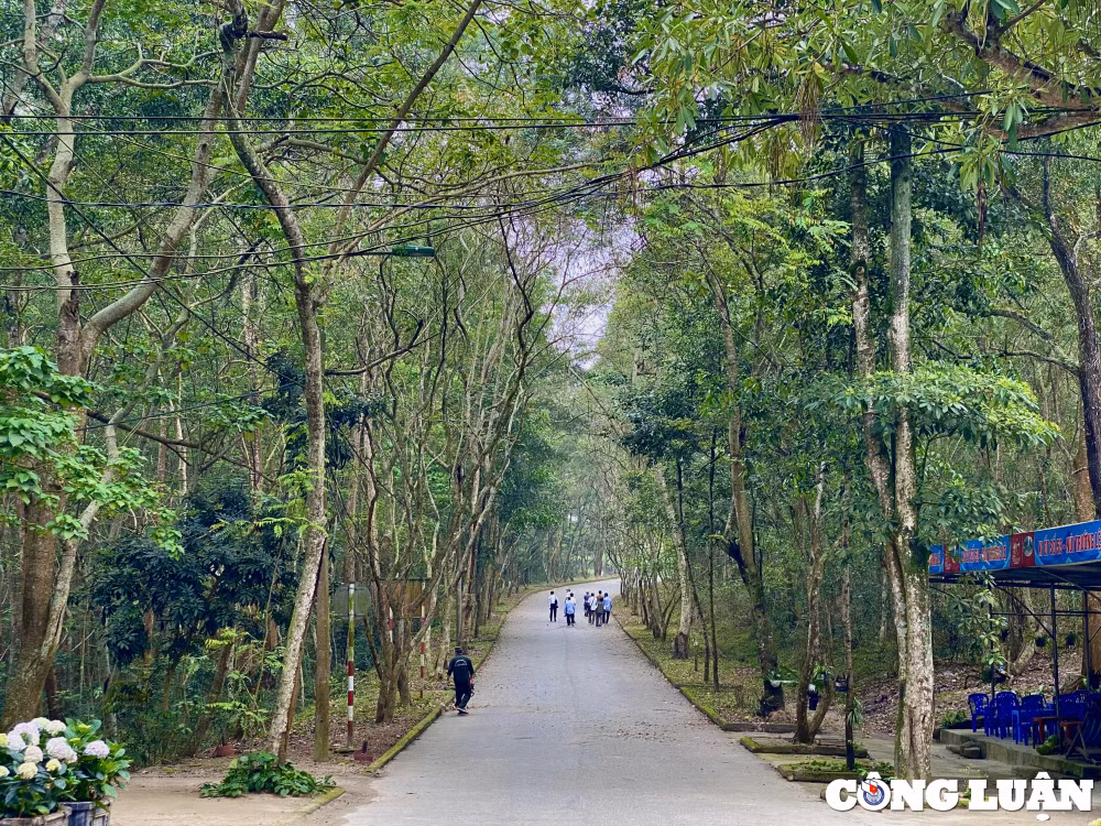 hon trong mai sam son thanh hoa 3 phien da 1 cau chuyen hinh 3