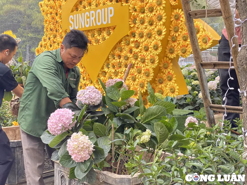 hang ngan du khach du le hoi tinh yeu hon trong mai sam son 2023 hinh 7