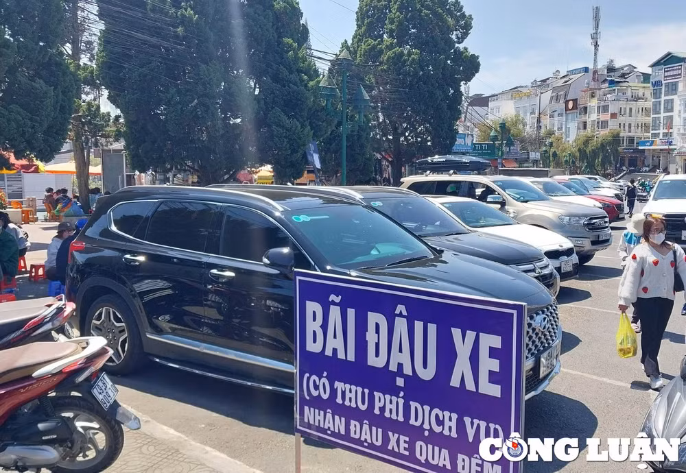 lam dong vi sao huy ket qua trung dau gia bai giu xe trung tam da lat hinh 1