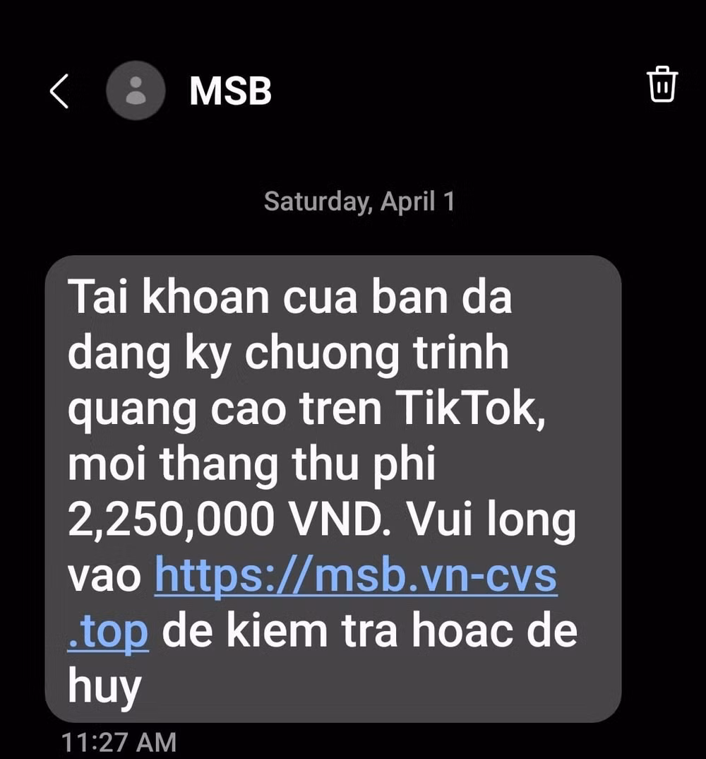 chuyen gia ly giai thu doan lua dao thong qua tin nhan gia mao ngan hang hinh 1