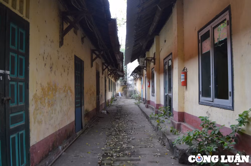 nha dau tu vivaso noi gi ve viec hon 300 cuon phim nhua bi hu hai hinh 3