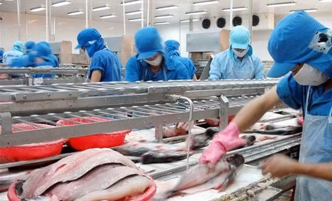 lai 9 thang cua vinh hoan vhc di ngang van dang lo tu dau tu chung khoan hinh 1