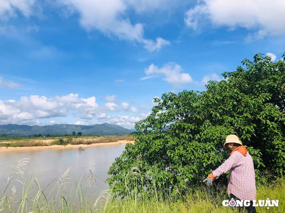 gia lai sat lo bo song ba uy hiep tinh mang va tai san cua hang tram ho dan hinh 2