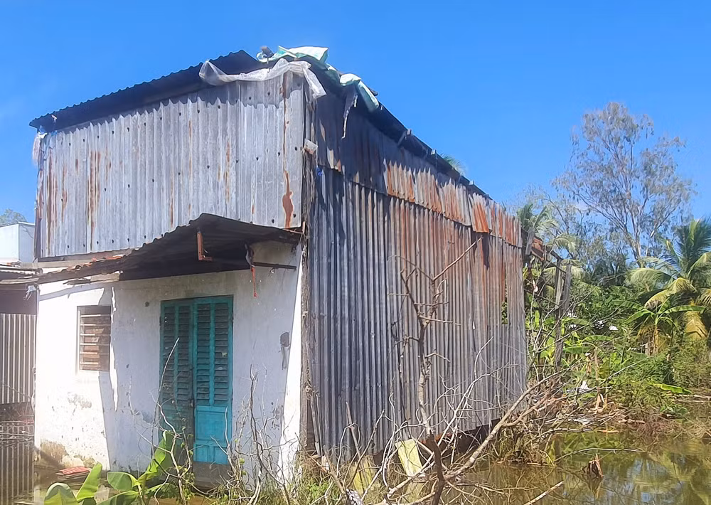 ca mau phan dau xoa 100 nha tam nha dot nat hinh 2