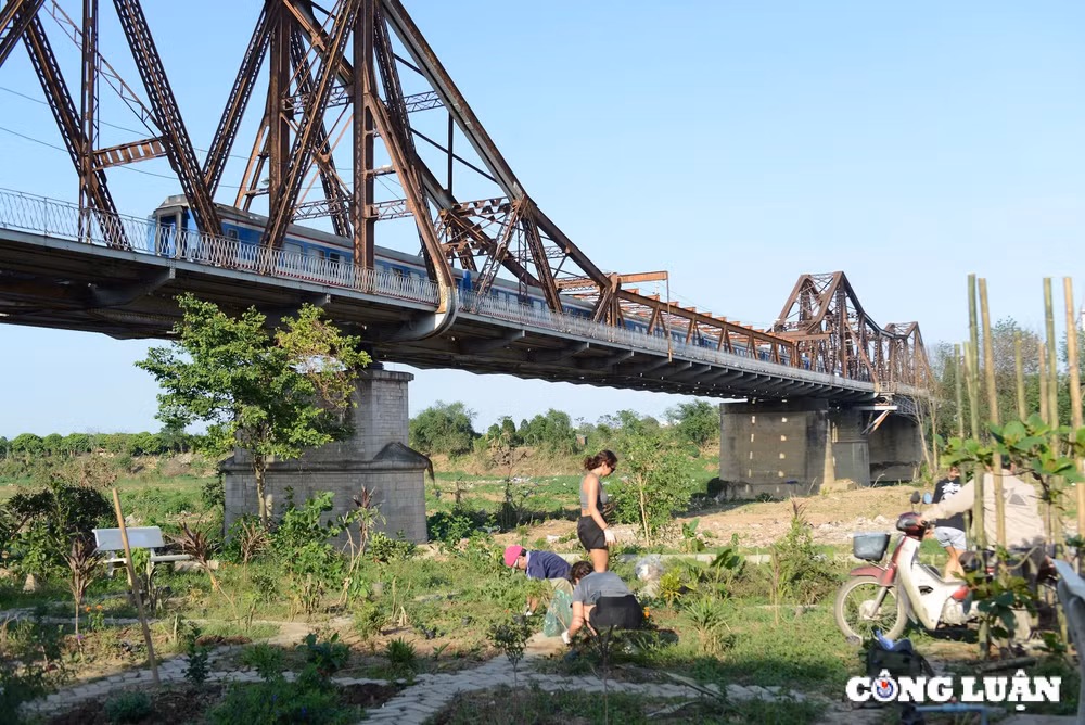 du hoc sinh quoc te chung tay tao dung canh quan ha noi sau bao so 3 hinh 2