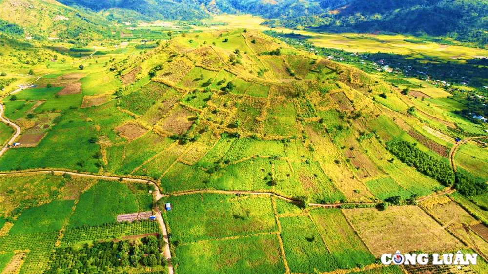 gia lai tuan le hoa da quy nui lua chu dang ya nam 2024 se dien ra tu 6 11 den ngay 12 11 hinh 2