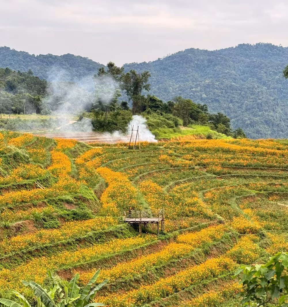 ve xom mung hoa minh trong buc tranh thanh binh da sac mau hinh 3
