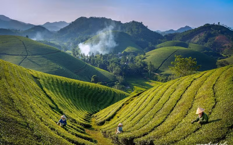 du khach ve phu tho tang manh vao dip nghi le quoc khanh 2 9 hinh 2