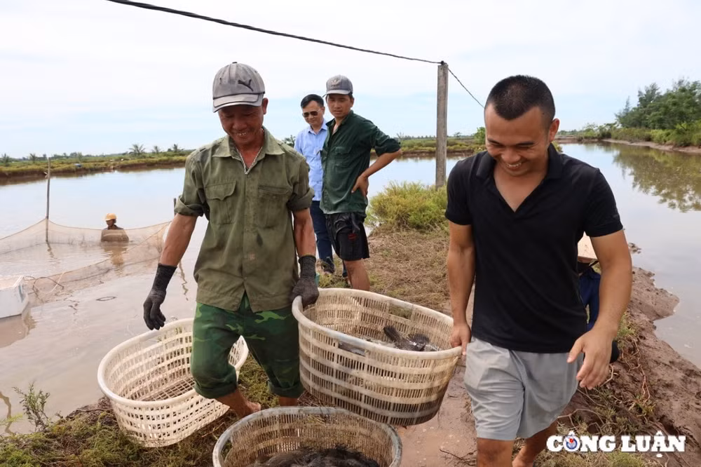 cac ho dan tai con xanh nam dinh dong thuan ban giao mat bang cho du an huong toi tuong lai tuoi sang hinh 5