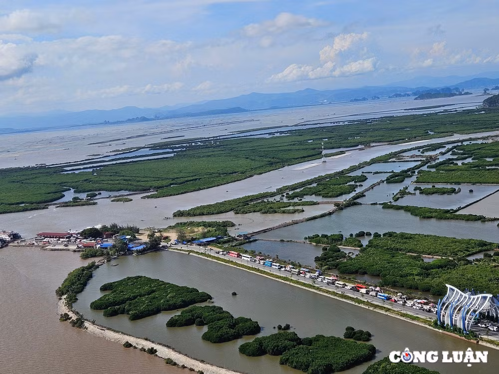 hai phong thu hut 65 trieu luot khach du lich 8 thang dau nam 2024 hinh 2