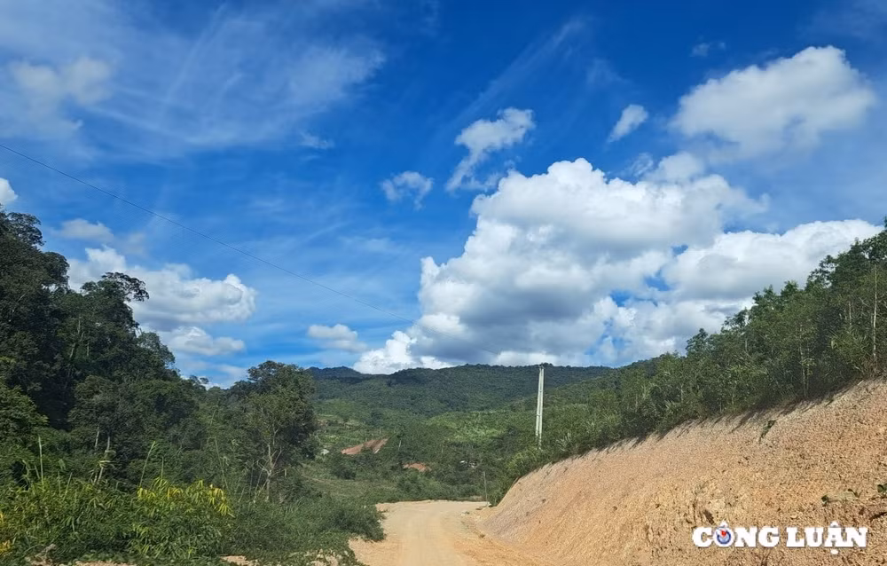 kon tum se khai thac hon 700 m3 go de mo duong sang gia lai hinh 3