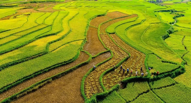nhung diem den vui quen loi ve o lai chau trong dip nghi le 2 9 hinh 1
