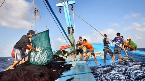 Thông báo ngừng đánh cá do Trung Quốc đơn phương áp đặt không có giá trị đối với vùng biển thuộc chủ quyền của Việt Nam. Ảnh minh họa