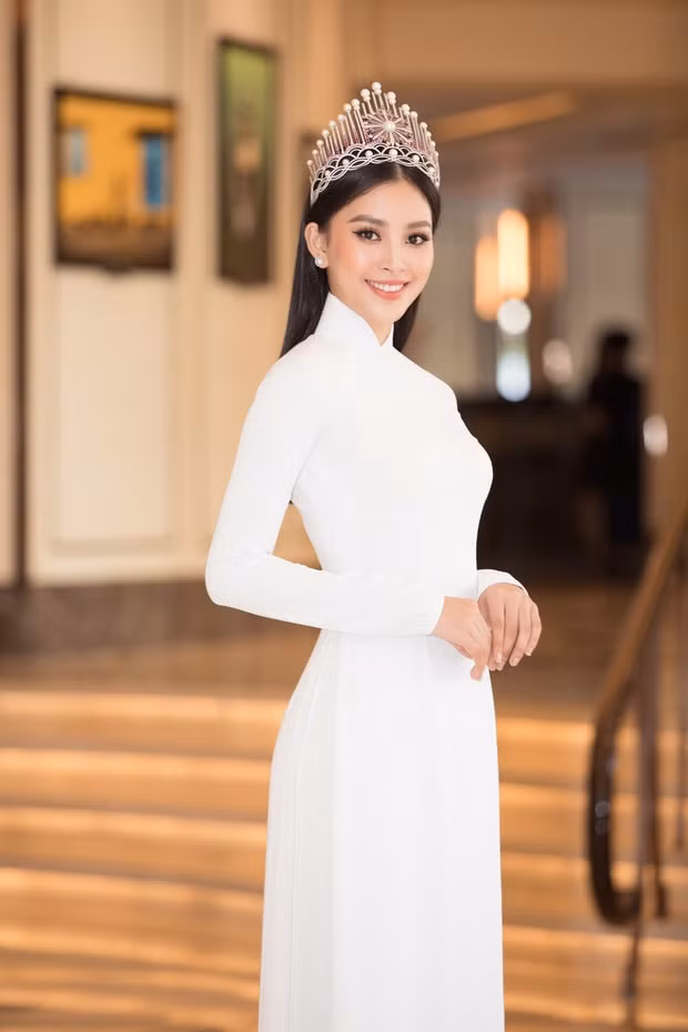 hoa hậu tiểu vy 2