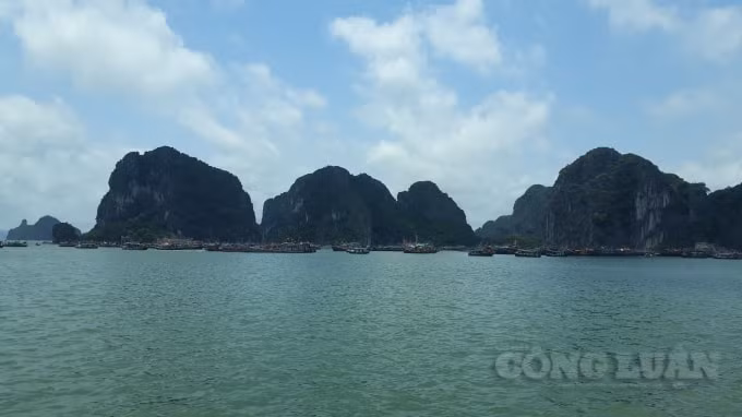 Vịnh Hạ Long - điểm tham quan du lịch hè hấp dẫn mọi du khách. Ảnh: Nguyễn Quân
