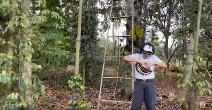 Trang Khàn mất toi 500k cho Thảo Trần chèo cây mít.