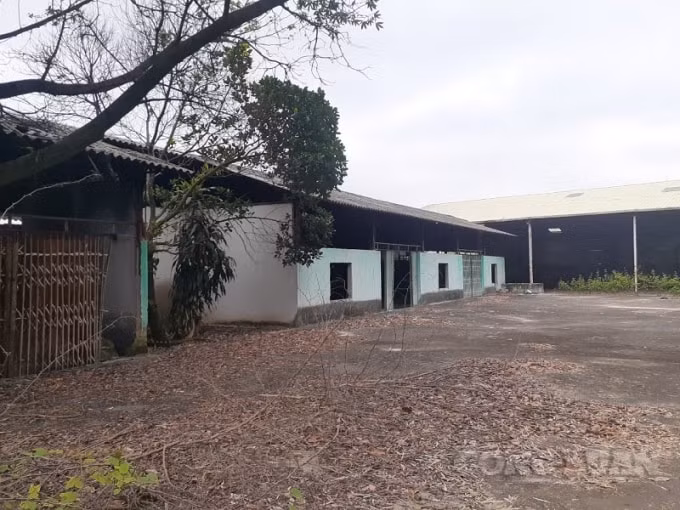 Thửa đất số 89, tờ bản đồ số 19 được UBND huyện Lạng Giang cấp đến 2 cuốn sổ đỏ.