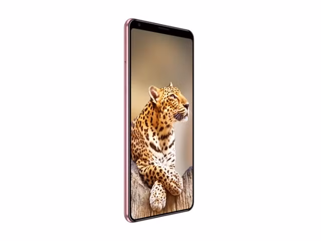 Bphone B86 và Bphone B86s được mở bán vào ngày 17/5.