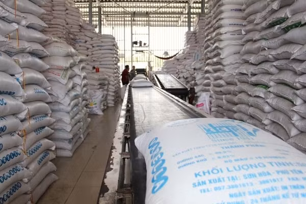 Tổng cục Dự trữ Nhà nước vừa mở thầu đợt 2 gói thầu mua 182.300 tấn gạo dự trữ quốc gia. Ảnh minh họa