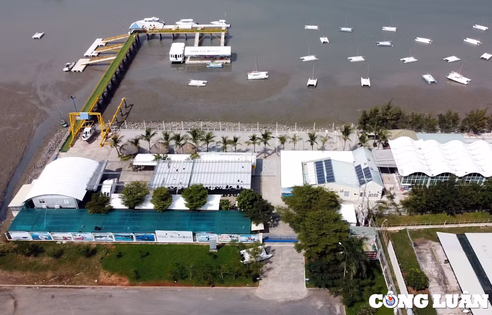yeu cau cong ty vung tau marina nghiem tuc thuc hien ket luan thanh tra hinh 1