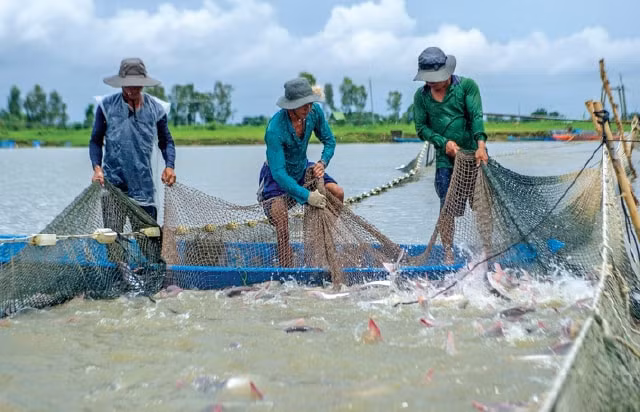 den nam 2030 san luong nuoi trong thuy san dat 7 trieu tan nam hinh 1