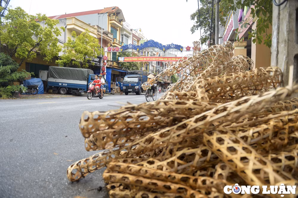 thu phu san xuat vang ma lon nhat mien bac nhon nhip nhung ngay can ram thang 7 hinh 2