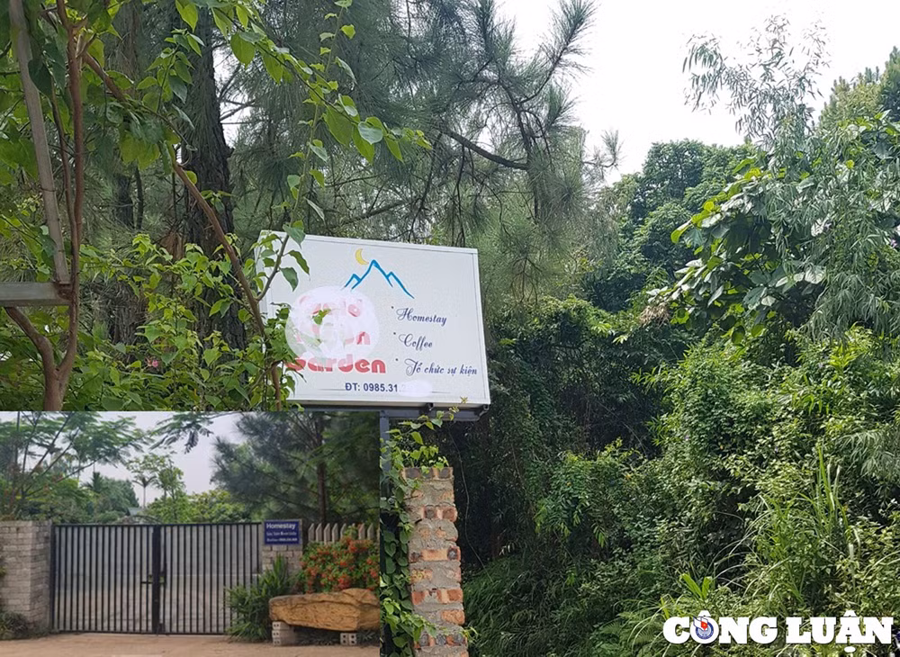 nhieu biet thu khach san lai moc trong khu vuc dat rung o soc son sau ket luan thanh tra hinh 21