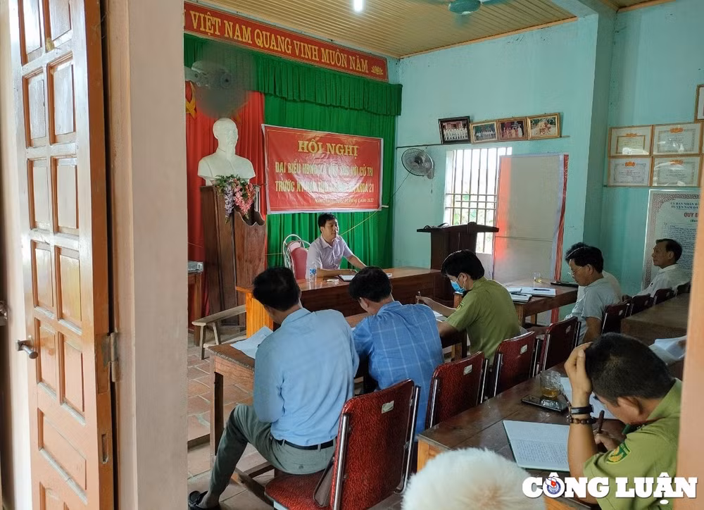 huyen nam dan de xuat chuyen doi 49146 ha rung dac dung sang rung san xuat hinh 2