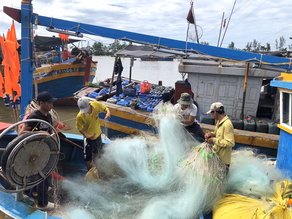 pho thu tuong le van thanh chi dao nghien cuu kien nghi ho tro gia xang dau cho ngu dan hinh 1