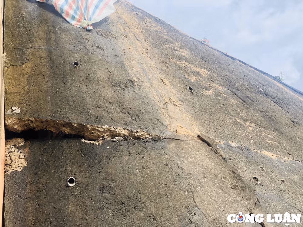 cay cau tu nguon von trai phieu chinh phu vua dua vao su dung da sut lun nut toac tu non hinh 4