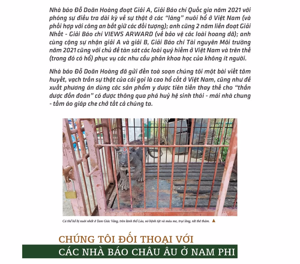 tien mat tat mang vi cong dung don doan cua cao ho cot ca nui cac tinh hoa y duoc sao khong dung hinh 2