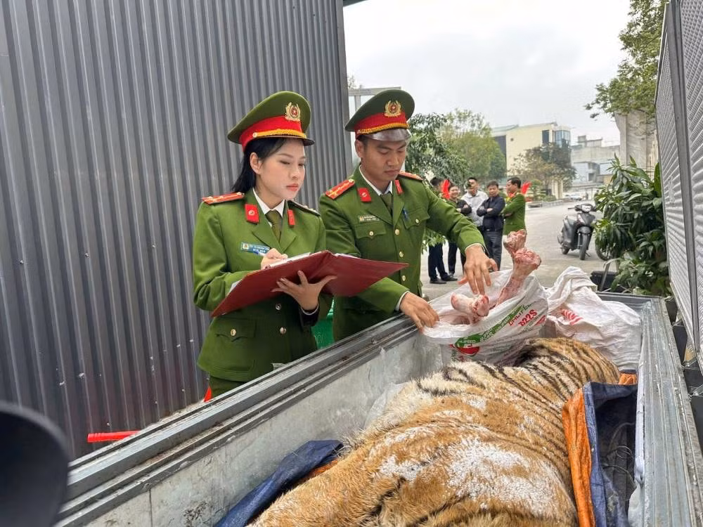 Triệt phá đường dây mua bán, nấu cao hổ. Ảnh: Công an Thanh Hóa