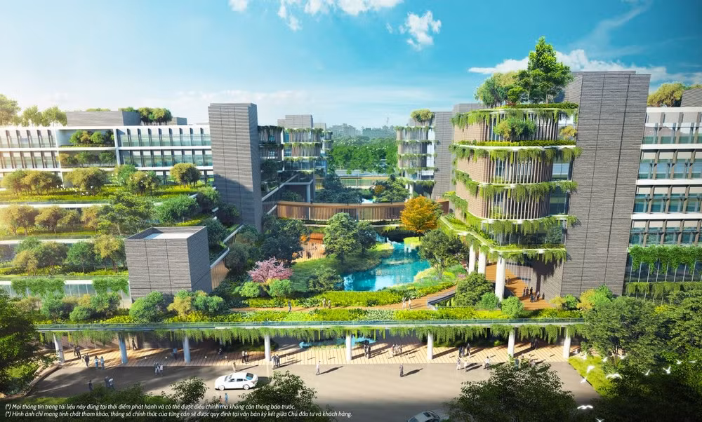a4.jpg