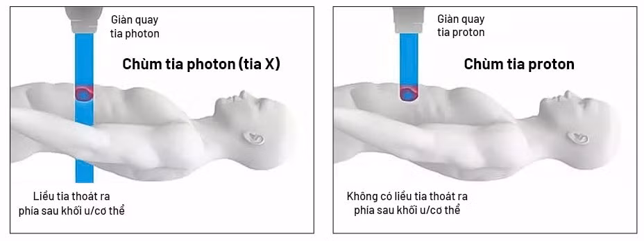 HÌNH 3