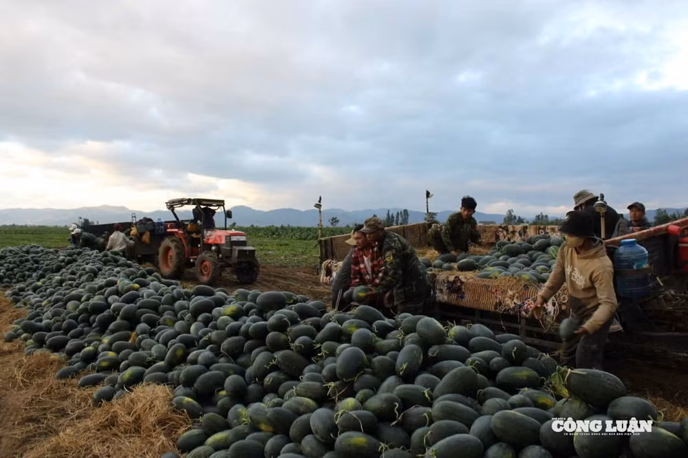 z7536653230045_47e827ff0d2ad036e6b6d2ea2f16825f.jpg