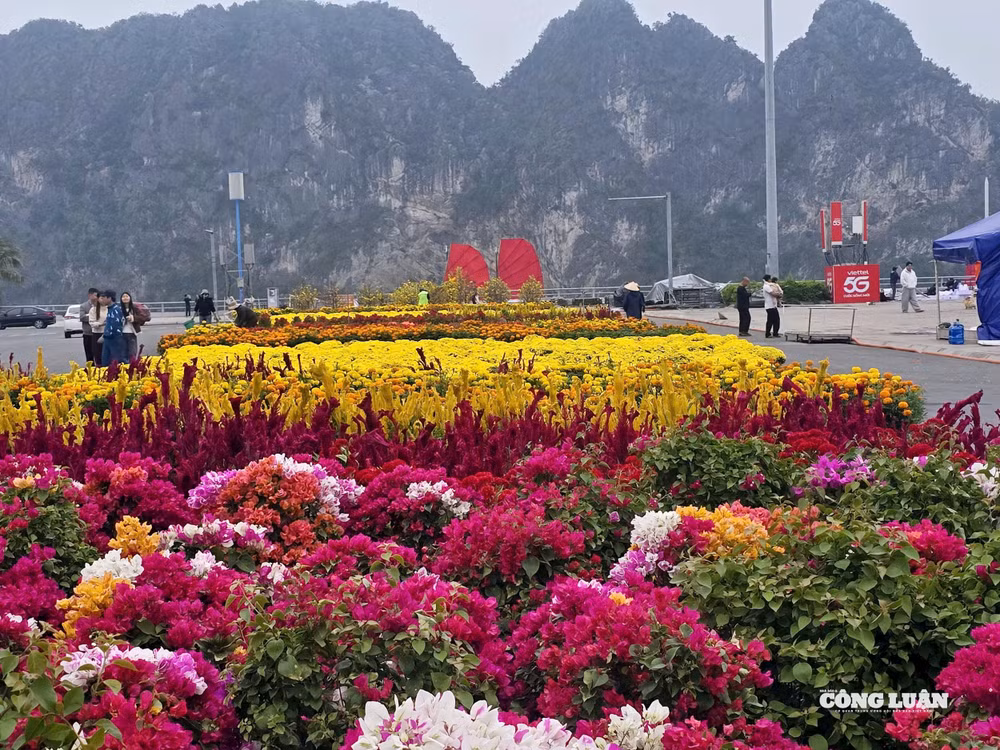 3-quang-ninh-thanh-lap-8-doan-kiem-tra-truoc-tet-binh-ngo.jpg