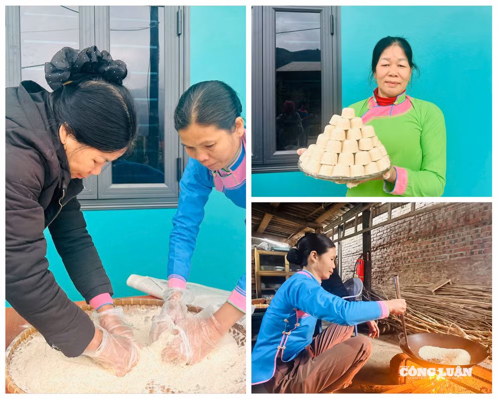 beautyplus-collage-2026-02-16t09_00_55(1).png