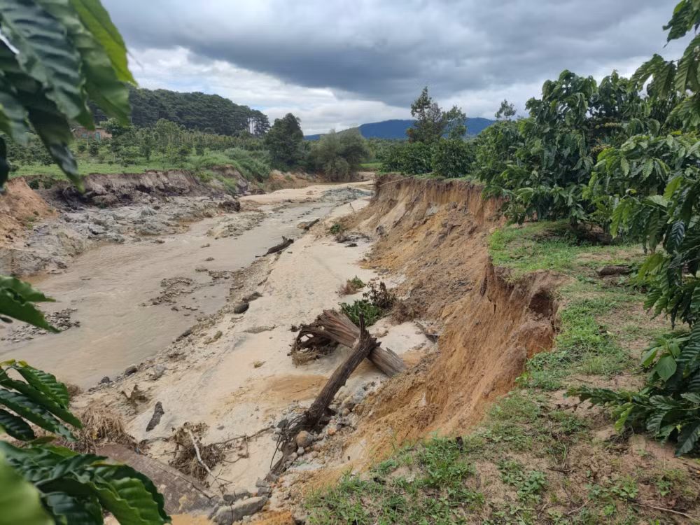 ra soat thong ke anh huong do sat lo nghiem trong quanh mo da trang duc gia lai hinh 3