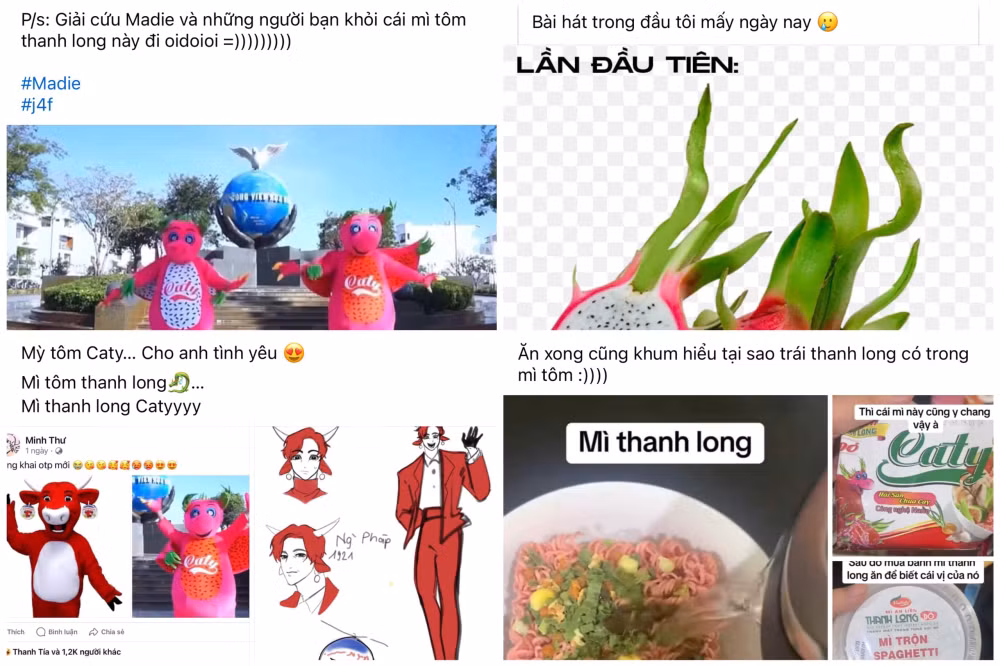 nho bai hat quang cao viral khap mang xa hoi mi tom thanh long bat ngo tro thanh hot trend hinh 2