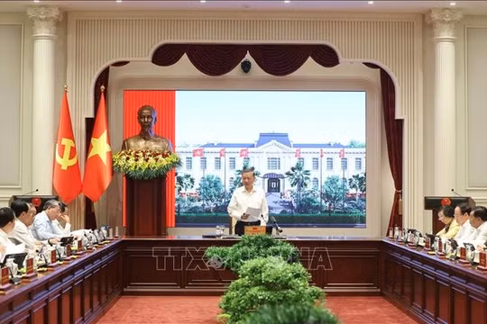 Tổng Bí thư, Chủ tịch nước Tô Lâm: Phát triển, thu hút và trọng dụng nhân tài phải đặt trong tổng thể chiến lược phát triển đất nước