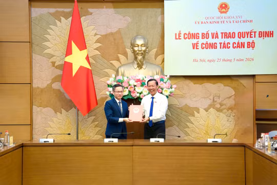 Trao quyết định bổ nhiệm Vụ trưởng Vụ Kinh tế và Tài chính, thuộc Ủy ban Kinh tế và Tài chính của Quốc hội