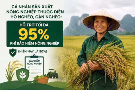 Hộ nghèo, cận nghèo được hỗ trợ tới 95% phí bảo hiểm nông nghiệp