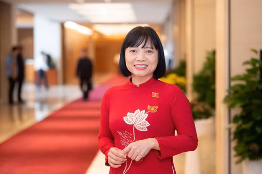 Theo ĐBQH Nguyễn Thị Việt Nga, để chính sách phát huy hiệu quả, việc tăng cường các yêu cầu quản lý đối với cơ sở kinh doanh hợp pháp cần được đặt trong tổng thể các giải pháp kiểm soát thị trường.