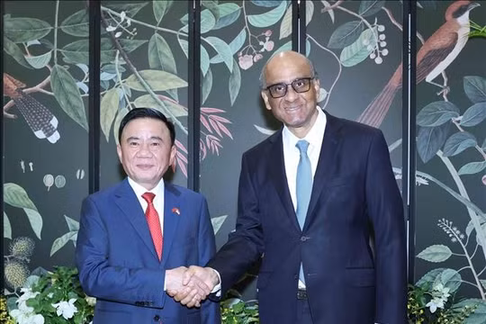 Ủy viên Bộ Chính trị, Thường trực Ban Bí thư Trần Cẩm Tú hội kiến Tổng thống Singapore Tharman Shanmugaratnam