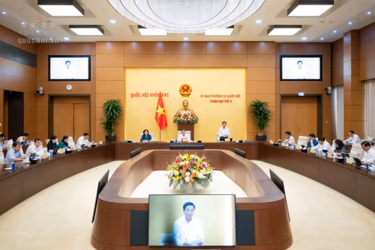 Chính phủ đề xuất Ủy ban nhân dân đặc khu được ký kết thỏa thuận quốc tế
